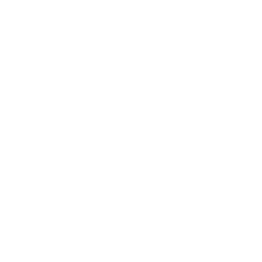 Flyinn Logo