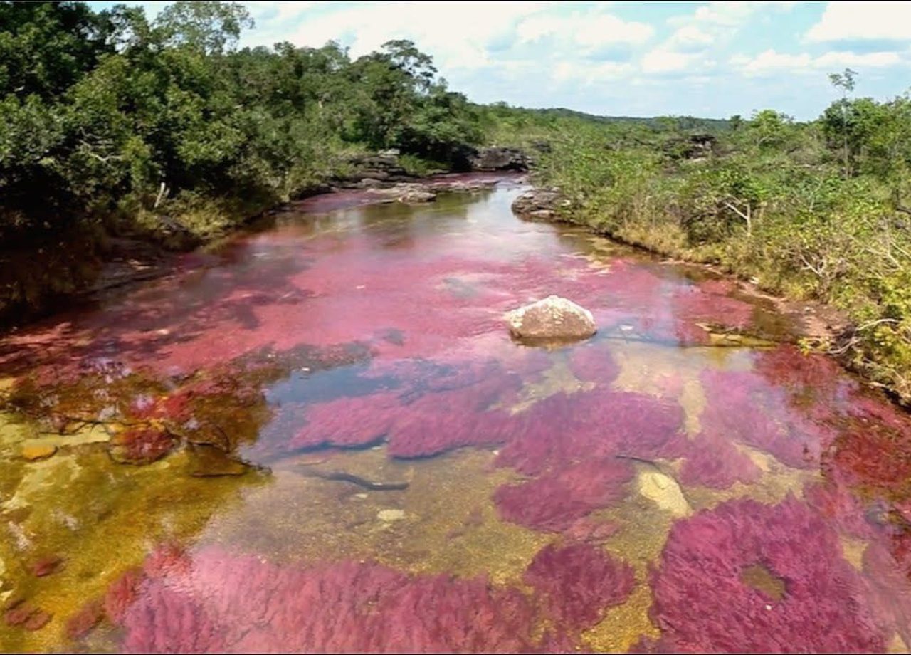 caño-cristales